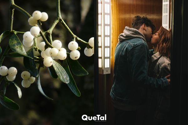 Qué es el muérdago y por qué la gente se besa debajo de él